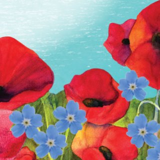 DAV “Commanders Club” Nomination Portfolio