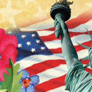 DAV “Commanders Club” control package