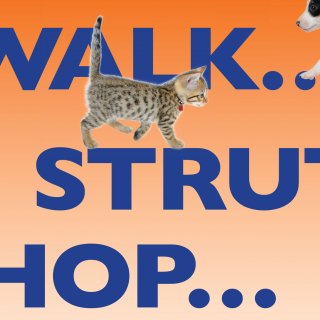 MSPCA Trolley Posters