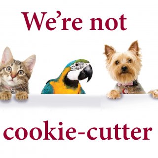DaVinci Direct “Cookie-Cutter” print ad